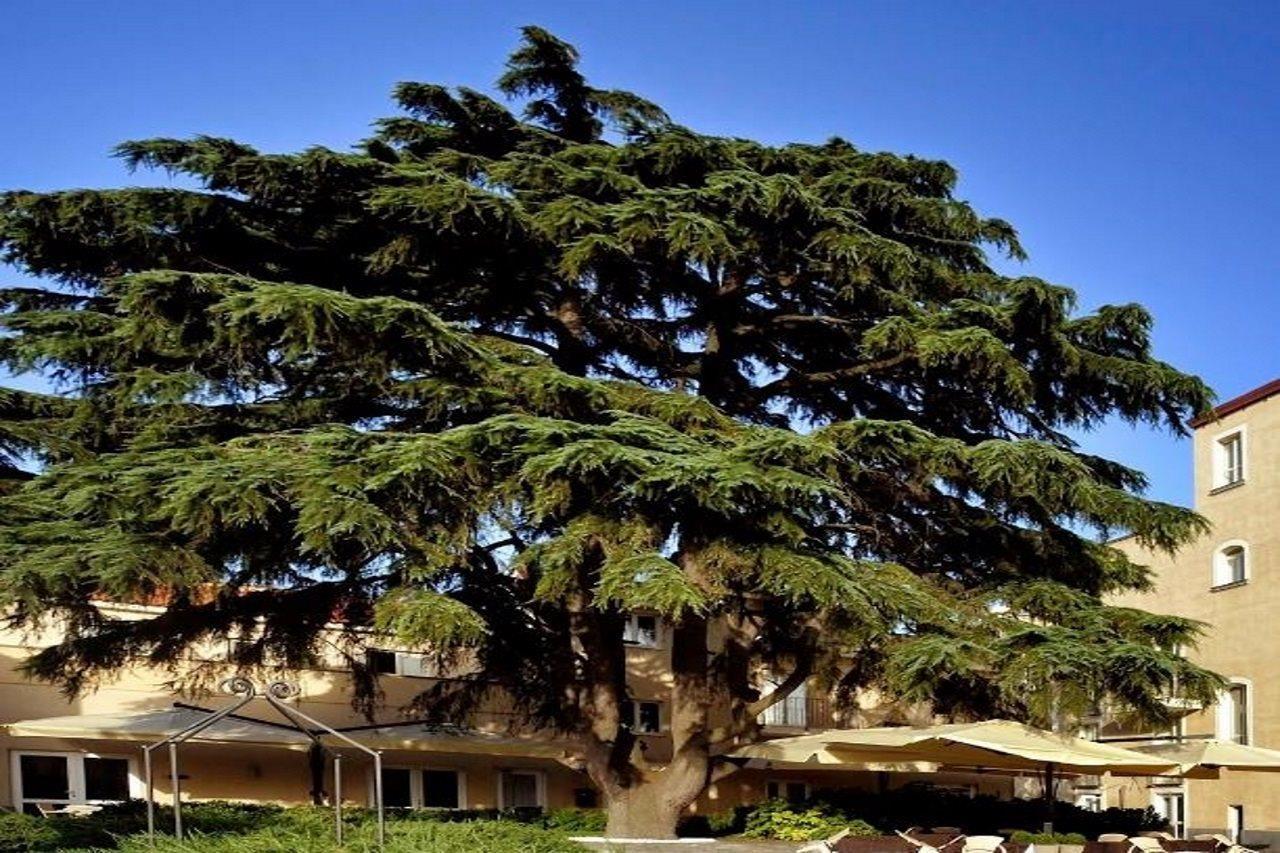 Relais Villa Buonanno Cercola Esterno foto